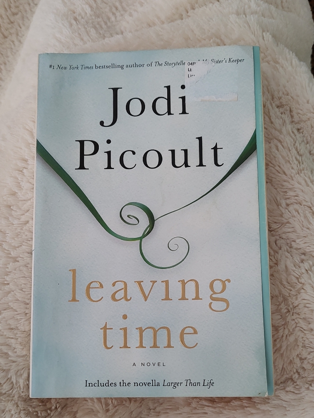 Jodi Picoult - Leaving Time (Paperback)